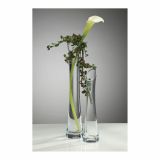 STEKLENA VAZA SANDRA RICH SOLO DIAGO 26X4.5 CM 1/1