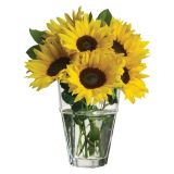 STEKLENA VAZA STEKLARNA HRASTNIK RONDO 13X21 CM