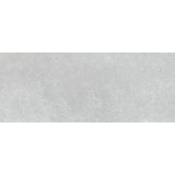 STENSKA PLOŠČICA HERBERIA DUST GRIGIO 20X50