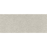 STENSKA PLOŠČICA HERBERIA DUST TRACCIA GRIGIO 20X50