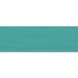 STENSKA PLOŠČICA HERBERIA PAINT ACQUAMARINA 20X60