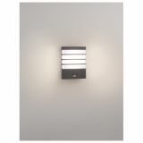 SENZORSKO SVETILO PHILIPS RACCON 1X3W S SENZORJEM ANTRACIT, LED