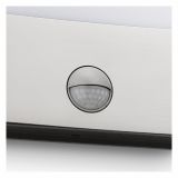 STENSKA VRTNA SVETILKA PHILIPS RACCON 1X3W S SENZORJEM INOX, LED