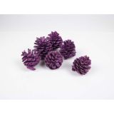 UMETNO CVETJE STORŽI PINJE BARVANI 6 KOS