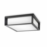 STROPNA VRTNA SVETILKA PHILIPS SKIES 2X14W E27 17184/93/16 ANTRACIT