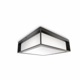 STROPNA VRTNA SVETILKA PHILIPS SKIES 2X14W E27 17184/93/16 ANTRACIT