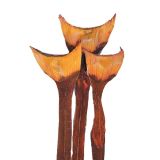 SUHO CVETJE AGAVA SPECIAL BARVANA 3KOS