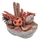 SUHO CVETJE DAR ARANŽMA V KOKOS LUPINI RDEČ ALI ORANŽEN