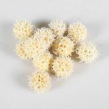 SUHO CVETJE LIQUIDAMBER 40G