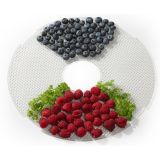 SUŠILNIK HRANE GORENJE FDK500GCW