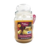 SVEČA BETTER HOMES ANANAS 510 G