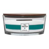 SVEČA V KOZARCU WOODWICK TRILOGY ELIPSE ICY WOODLAND