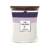 SVEČA V KOZARCU WOODWICK TRILOGY MEDIUM EVENING LUXE