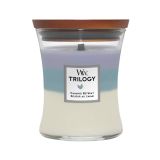 SVEČA V KOZARCU WOODWICK TRILOGY WW MEDIUM CALMING RETREAT