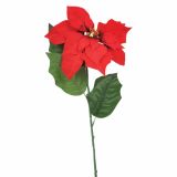 SVILENO CVETJE BOŽIČNA ZVEZDA ENOJNA ŽAMETNA