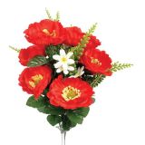 SVILENO CVETJE DAR MAK ŠOPEK X12 RDEČ