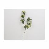 SVILENO CVETJE DAR VEJICA ZELENJA X 2