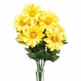 SVILENO CVETJE MARJETICA ŠOPEK RUMEN