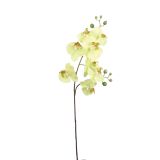 UMETNO CVETJE MICA PHALAENOPSIS ZELEN 87CM