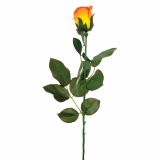 SVILENO CVETJE VRTNICA ENOJNA ORANŽNA