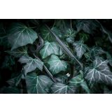 TACTICAL QUANTUM SILIKONSKI OVITEK ZA IPHONE 16 PRO - PROZORNO ČRN