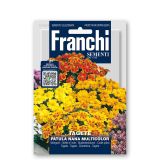 TAGETES FRANCHI SEMENTI VEČBARVNE ŽAMETNICE TAGETE NANO A FIORI DOPPI