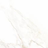 TALNA PLOŠČICA HERBERIA MARMI PREGIATI CALACATTA RET 60X60