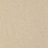 TAPISON MASTER 037 BEIGE 4 M