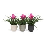 TILANCIJA V OKRASNEM LONCU L10