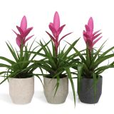 TILANCIJA V OKRASNEM LONCU L13