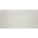 BETONSKA PLOŠČA ZOBEC TITAN IMPREGNIRANA 40X80X4.2 CM BELA