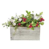 TRAJNICA ARANŽMA GAULTERIA V KORITU