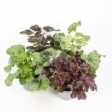 TRAJNICE MIX HOJHERA MIX L12