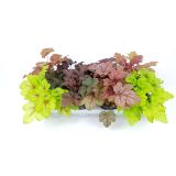 TRAJNICE MIX HOJHERA MIX L12