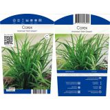 TRAVE JAPONSKI ŠAŠ IRISCH GREEN L11