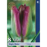 TULIPAN HOLLAND BULB MARKET VIRIDIFLORA NIGHT RIDER 11/12 8KOS