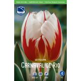 TULIPANI CARNAVAL DE RIO