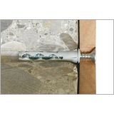 ZIDNI VLOŽEK Z VIJAKOM TUVT 10X50 VLOŽEK + VIJAK ZAV=4 KOS