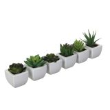 UMETNA LONČNICA MICA SUKULENT ZELENE 6 SORTIRA L5XW5XH8CM