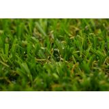 UMETNA TRAVA SALVA 2M