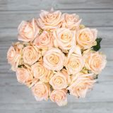 UMETNI ŠOPEK IZ VRTNIC