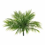 UMETNO CVETJE EVERGREENS AREKA ZELENJE