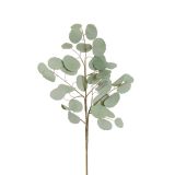 UMETNO CVETJE EVERGREENS EVKALIPTUS V ŠOPKU DRY LOOK