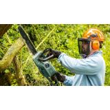 ELEKTRIČNA VERIŽNA ŽAGA BOSCH UNIVERSALCHAIN 35CM 1.8KW + DODATNA VERIGA