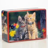 VEČNAMENSKA DOZA 14.3X10.2X7.1 CM MUCE KVADRATNA