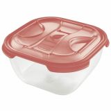 VEČNAMENSKA DOZA TONTARELLI 1 L NUVOLA KVADRATNA CORAL TRANSP