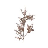 DEKORACIJA VEJA EUKALIPTUS 72 CM ŠAMPANJEC