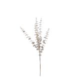 DEKORACIJA VEJA EVKALIPTUS ZLATA