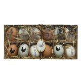 VELIKONOČNI PROGRAM JAJČKA 12/1 4X6 CM KOKOŠKE IN PERJE