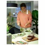 VISEČA SVETILKA-LESTENEC PHILIPS FAIR 1X55W 2GX13 40339/11/16 KROM